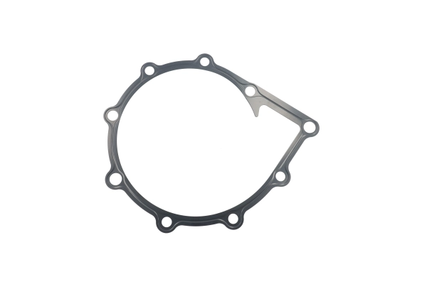 BTS-3005414C1 Water Pump Mounting Gasket for Navistar