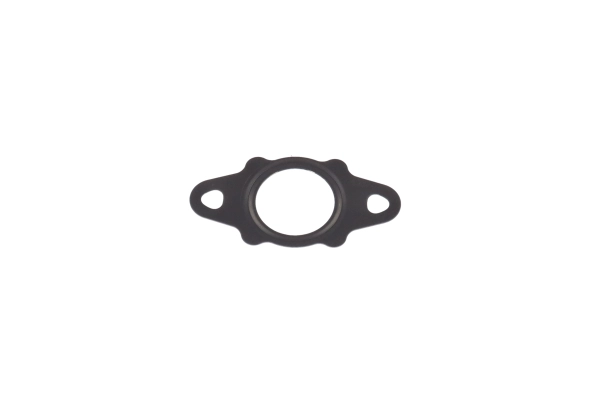 BTS-3018016C2 Hydrocarbon Doser Injector Gasket for Navistar