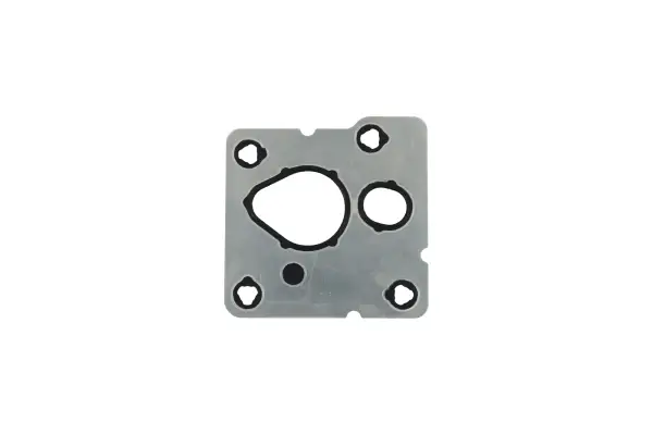 BTS-4954474 Fuel Pump Gasket for Cummins
