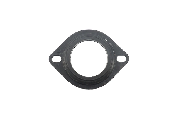 BTS-5365350 Carrier Seal Gasket for Cummins