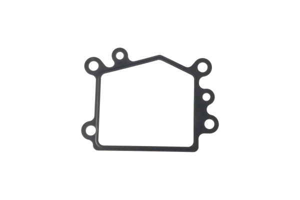 BTS-5415308 BTS-5415308 Adapter Gasket for Cummins