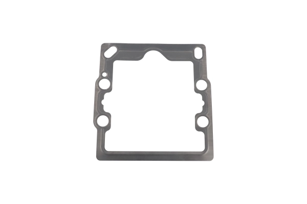BTS-8100466 Hydraulic Pump Gasket for Danfoss
