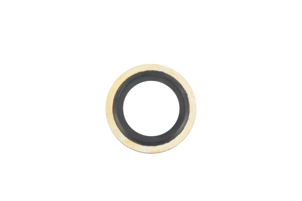 BTS-A0249978845 Oil Pan Sealing Ring for Detroit Diesel