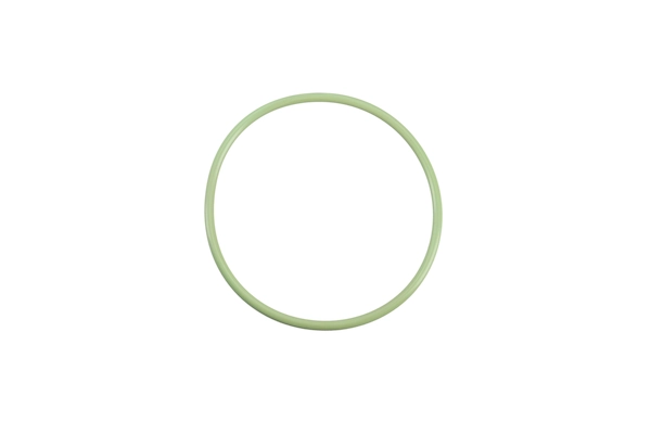 BTS-A0309979045 O-ring Cylinder Head Closing Cover for Detroit Diesel