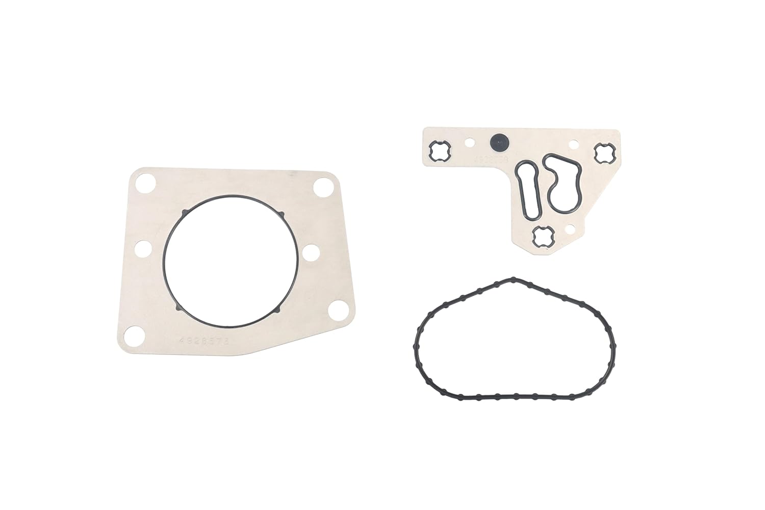 BTS-FUEPUGSKT Fuel Pump Gasket Kit Inc. 4928538 4010636 4928575 for Cummins