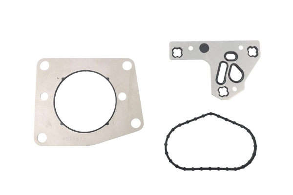 BTS-FUEPUGSKT2 Fuel Pump Gasket Kit for Cummins