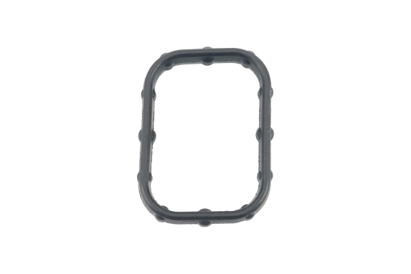 BTS-LC3Z-6L621-B Oil Cooler Seal for Ford