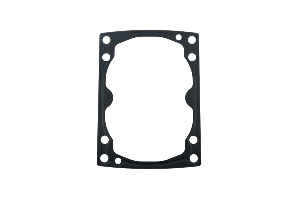 BTS-11098011 End Cap Gasket for Danfoss