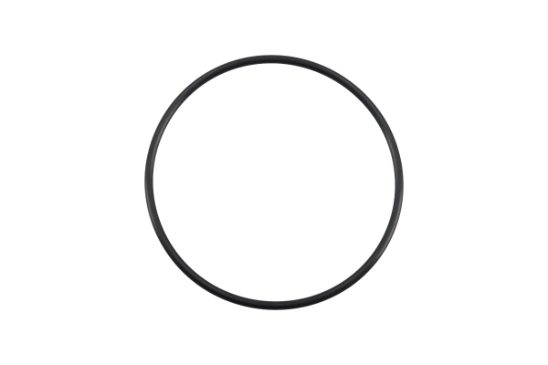 BTS-145558 O-ring Seal for Cummins