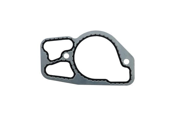 BTS-1825163C2 Pump Flange Gasket for Navistar