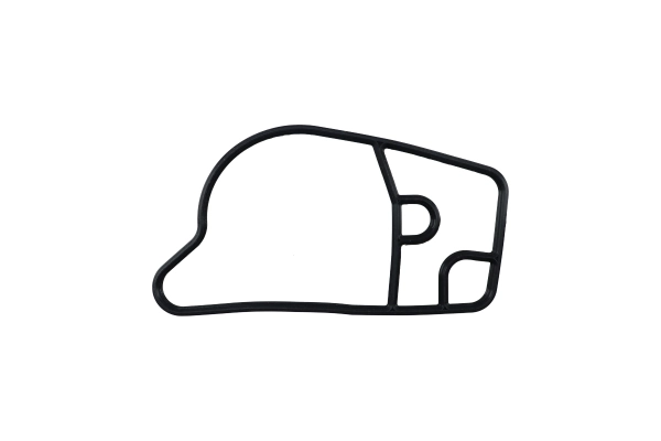 BTS-1825685C1 Pump Gasket for Navistar