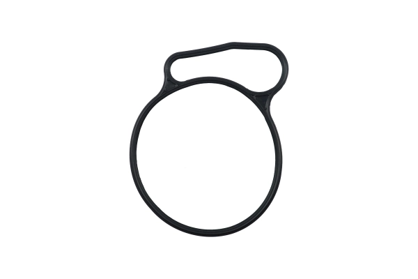 BTS-1836005C1 Seal for Navistar