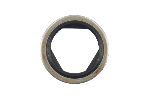 BTS-21024032 Sealing Ring for Volvo