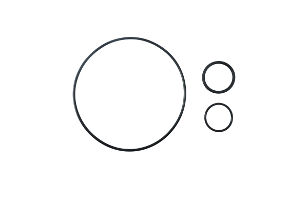 BTS-21976104 O-ring Kit for Volvo, Mack