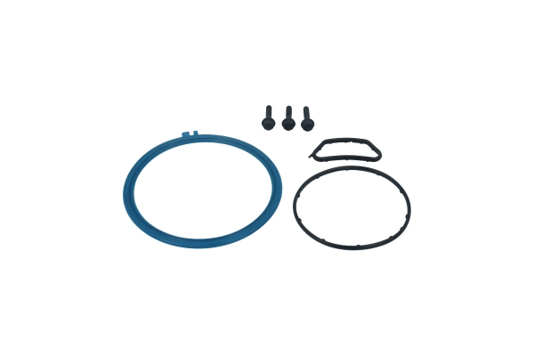 BTS-2517271C91 Breather Seals & Bolts Kit for Navistar