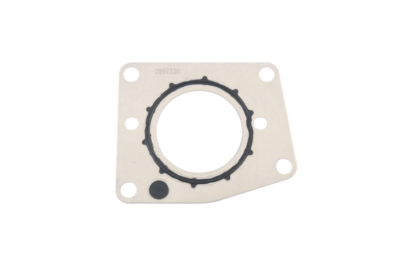 BTS-2897330 Junta de Bomba de Combustible para Cummins