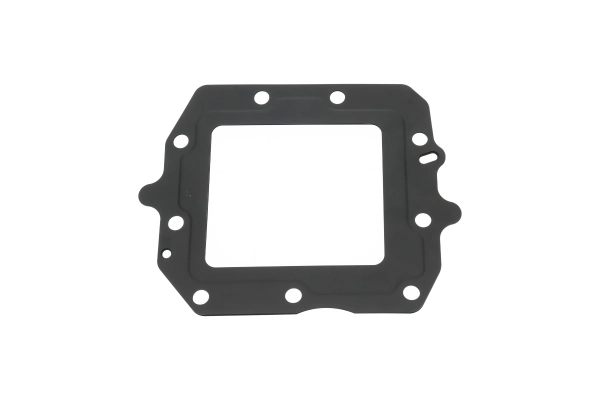 BTS-3005864C3 EGR Gasket for Navistar