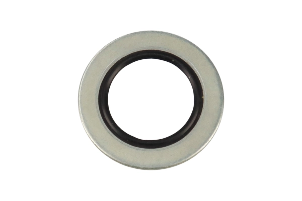 BTS-3684284 Sealing Washer for Cummins