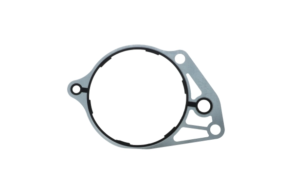 BTS-3686758 Fuel Pump Gasket for Cummins