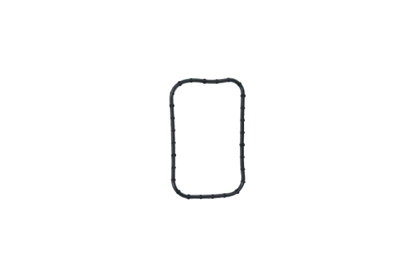 BTS-4045390 Holset VGT Turbo Actuator Seal for Cummins