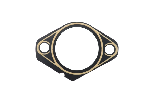 BTS-4178523 Fuel Injection Pump Shim for Deutz