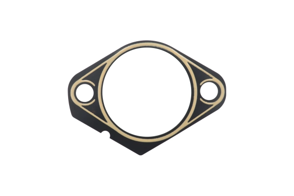 BTS-4178526 Fuel Injection Pump Shim for Deutz