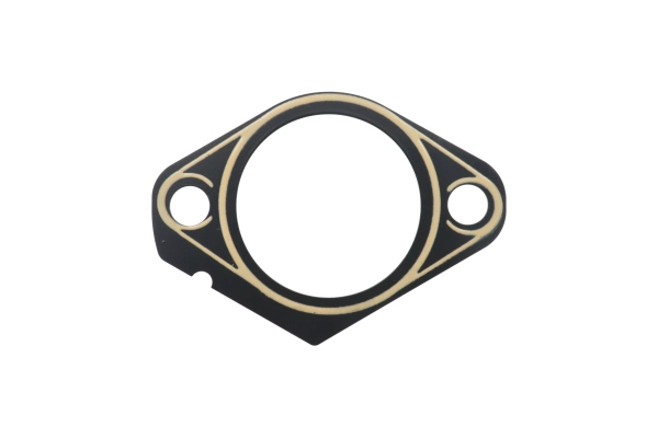 BTS-4272923 Injection Gasket for Deutz