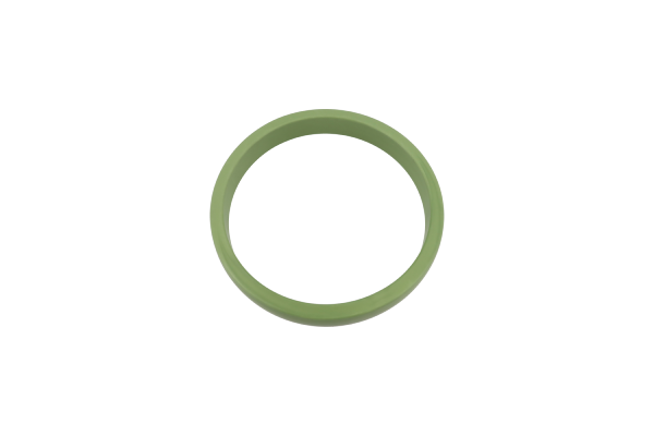 BTS-4350182 D Ring Seal for Cummins