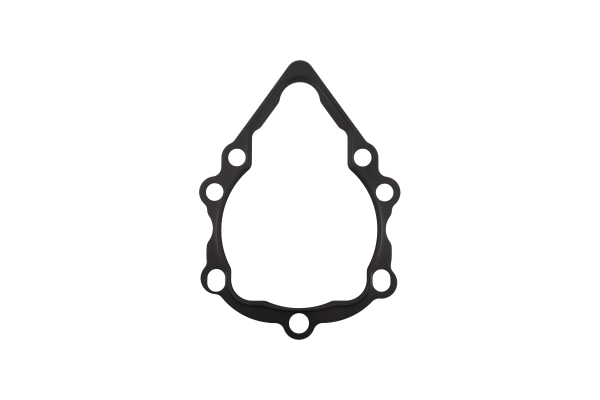 BTS-4460564 Hydraulic Pump Gasket for Danfoss