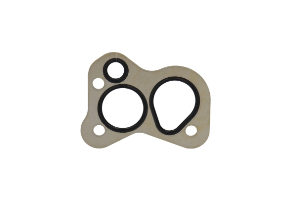 BTS-4460656 Filter Adapter Seal for Danfoss