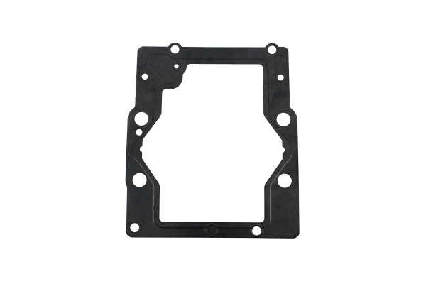 BTS-511809 End Cap Gasket for Danfoss