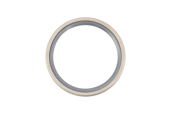 BTS-5132155 Thermostat Seal for Detroit Diesel