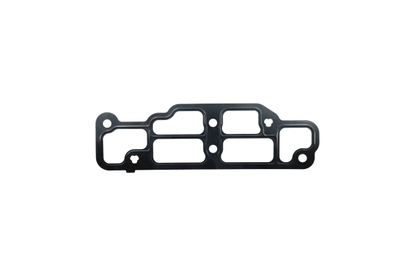 BTS-62069040042 Gasket for Navistar