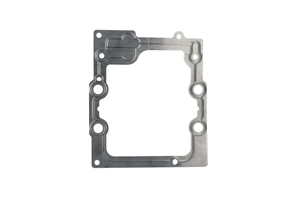 BTS-730895 End Cap Gasket for Danfoss