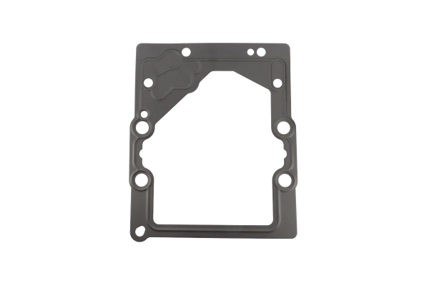 BTS-8000243 Hydraulic Pump Gasket for Danfoss