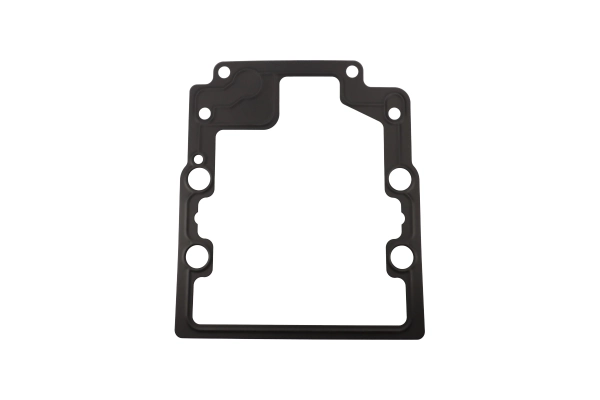 BTS-8100565 Pump Gasket for Danfoss