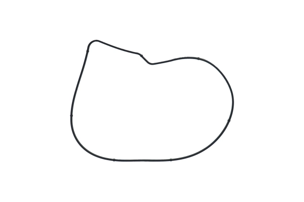 BTS-A4722010080 Water Pump Gasket for Detroit Diesel