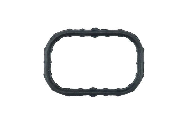 BTS-BC3Z-9E464-C EGR Gasket for Ford