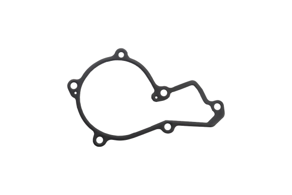 BTS-R119383 Water Pump Gasket for John Deere