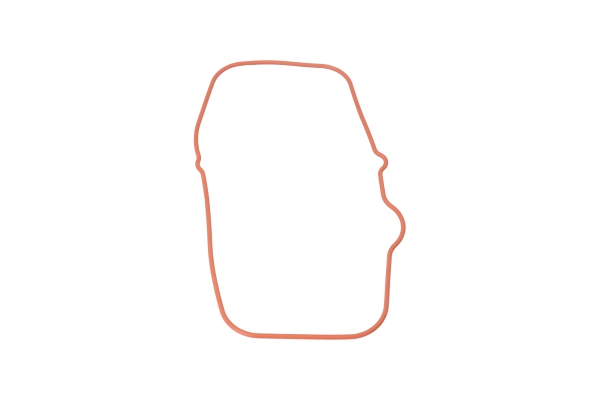 BTS-X52405500190 Cylinder Profile Gasket for MTU