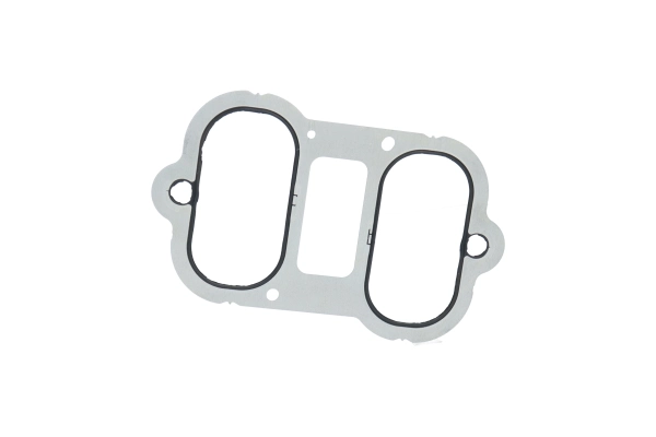 BTS-X52412400119 Intake Pipe Gasket for MTU