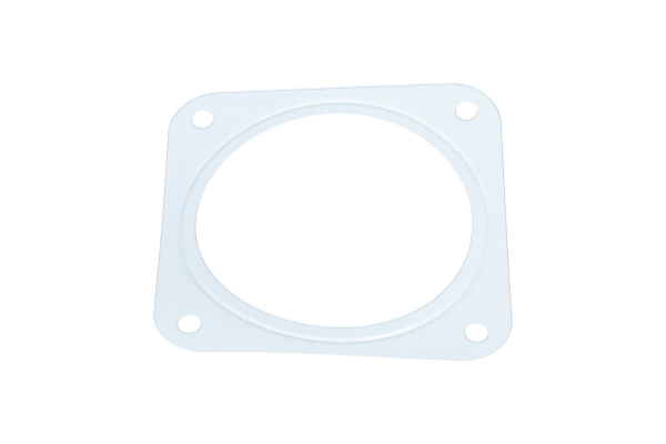 BTS-X54999100010 Gasket for MTU